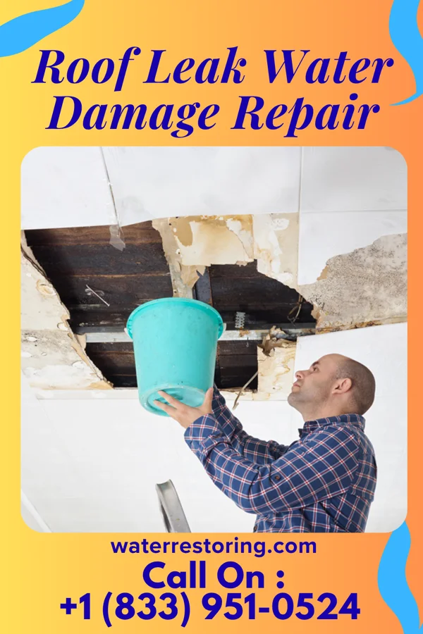 Roof Leak Water Damage Repair in Farmington, WA
